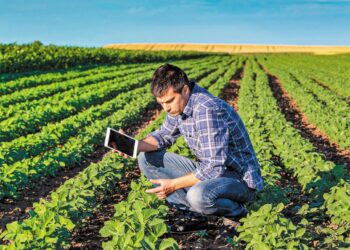 ΥΠΑΑΤ: Τι θα γίνει με τα «πανωγραψίματα» στις δηλώσεις των αγροτών