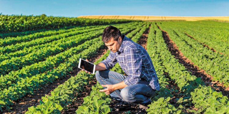 ΥΠΑΑΤ: Τι θα γίνει με τα «πανωγραψίματα» στις δηλώσεις των αγροτών