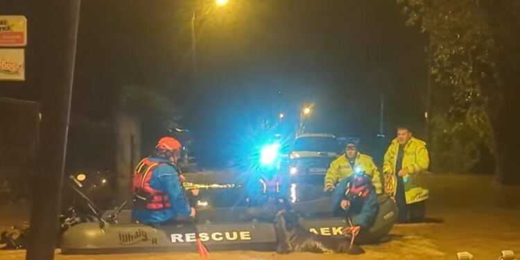 Φιλιππιάδα: Διασώστες απεγκλώβισαν άλογο που είχε παγιδευτεί εξαιτίας των έντονων βροχοπτώσεων