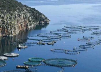 Αμβρακικός Κόλπος – Χωροθέτηση Περιοχών Οργανωμένης Ανάπτυξης Υδατοκαλλιεργειών (Π.Ο.Α.Υ.)