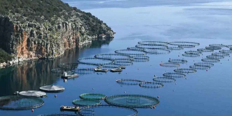 Αμβρακικός Κόλπος – Χωροθέτηση Περιοχών Οργανωμένης Ανάπτυξης Υδατοκαλλιεργειών (Π.Ο.Α.Υ.)  