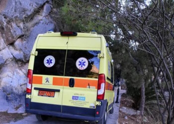 Τραγωδία στον Δομοκό: Άνδρας πέθανε από τσίμπημα μέλισσας