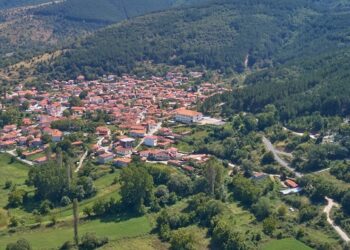 Το Ελεγκτικό Συνέδριο διατυπώνει ενστάσεις για την αποτελεσματικότητα των προγραμμάτων αναδάσωσης