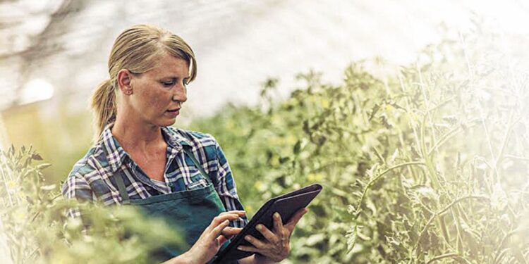 Δίκτυο Γυναικείας Επιχειρηματικότητας: Εκπαιδευτικά εργαστήρια ανάπτυξης δεξιοτήτων στην Καστοριά