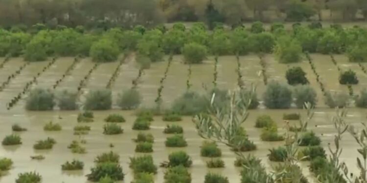 Κακοκαιρία: Χωράφια μετατράπηκαν σε λίμνες από την υπερχείλιση του Καλαμά στη Θεσπρωτία – Ζημιές στην Κέρκυρα, επικίνδυνοι χείμαρροι στα Τζουμέρκα