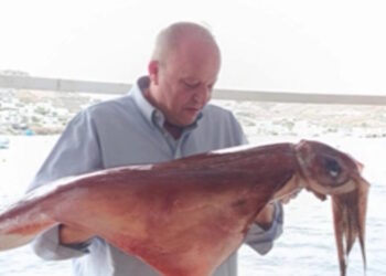 Μύκονος: Δυο τεράστια καλαμάρια 17 κιλών έβγαλε με τα χέρια του από τη θάλασσα κάτοικος