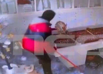 Καλαμάτα: Θρασύτατη διάρρηξη σε κοσμηματοπωλείο – Άρπαξαν τα κοσμήματα σε 20 δευτερόλεπτα