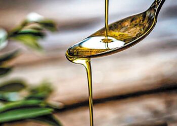 Κόκκαλης: «Σε ασφυκτική κατάσταση οι Οργανώσεις Ελαιολάδου λόγω στάσης πληρωμών – Ευθύνη της κυβέρνησης η καθυστέρηση»