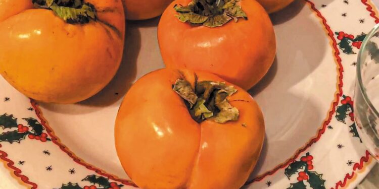 Κυριαρχία μηλολωτών στην Κορινθία, θετικός ο απολογισμός για τη συγκομιδή