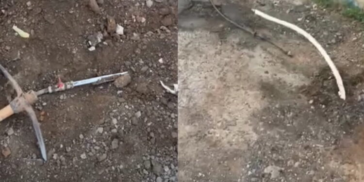 Μάνδρα: «Πατέντα» με παράνομο καλώδιο ρεύματος και δίκτυο υδροδότησης σε οικισμό – Τα ξήλωσαν οι αρχές