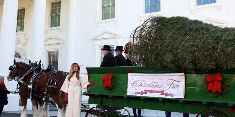 Η Μελάνια Τραμπ παρέλαβε το τεράστιο χριστουγεννιάτικο δέντρο του Λευκού Οίκου