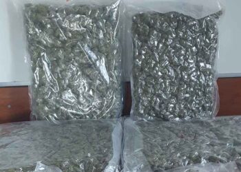 Συνελήφθη στην Εθνική Οδό Αγρινίου – Καρπενησίου γιατί μετέφερε 5 κιλά χασίς