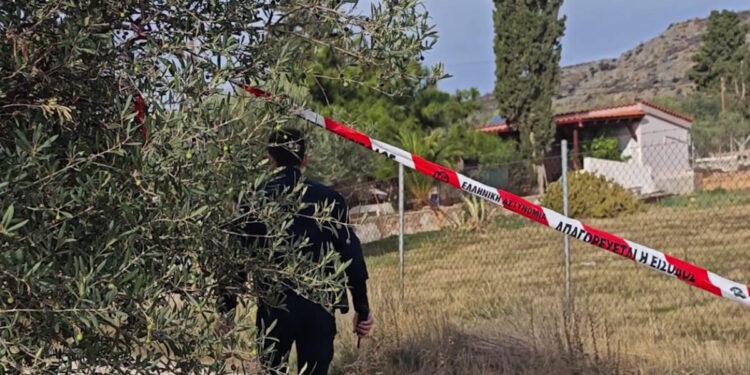 Νέα Πέραμος: «Τον είχε πνίξει, έλεγε ότι αν πάει σπίτι θα τον σκοτώσει» – Το βίαιο παρελθόν πίσω από την αδελφοκτονία