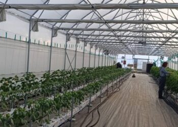 Φλώρινα: Πειραματικά γεωθερμικά θερμοκήπια από το Τμήμα Γεωπονίας του ΠΔΜ