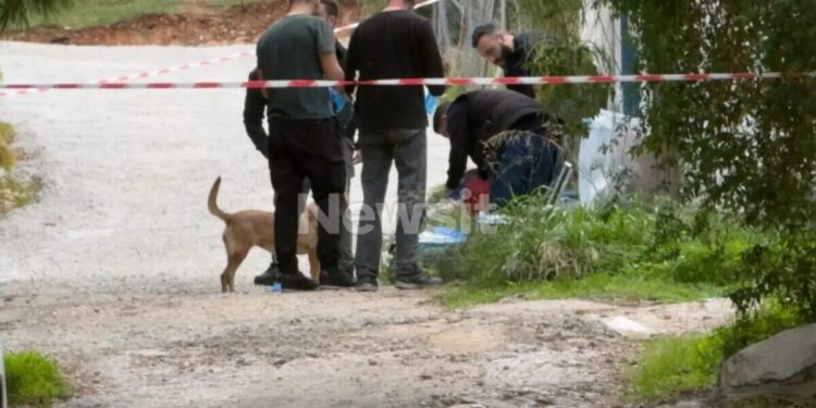 Ανατροπή στη δολοφονία 75χρονης στη Σαλαμίνα: Συνελήφθη και ομολόγησε η νύφη της