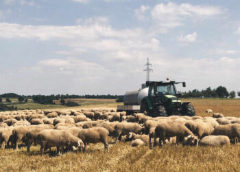 Σε… πολλές δόσεις η πληρωμή της Βασικής λέει το ΥΠΑΑΤ λίγο πριν την προκαταβολή