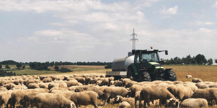 Σε… πολλές δόσεις η πληρωμή της Βασικής λέει το ΥΠΑΑΤ λίγο πριν την προκαταβολή