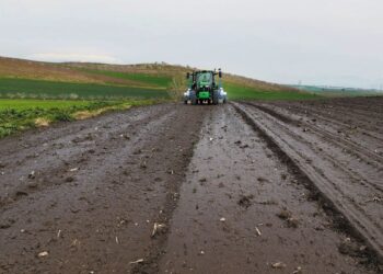 Σιτηρά: Σπορά μετ’ εμποδίων εξαιτίας των βροχών