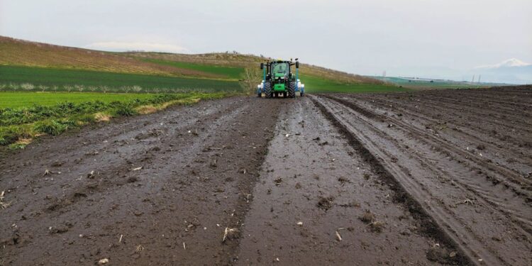 Σιτηρά: Σπορά μετ’ εμποδίων εξαιτίας των βροχών