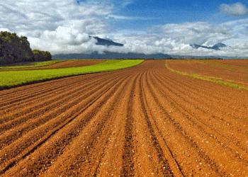 Γιατί εξαιρούνται χιλιάδες αγροτεμάχια από την προκαταβολή της Βασικής ενίσχυσης;