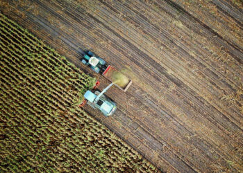 Σεμινάριο για την αγροτική καινοτομία από το ΔΠΘ – Στο επίκεντρο θερμοκήπια, υδροπονία και ενεργειακή αναβάθμιση