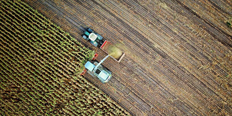 Σεμινάριο για την αγροτική καινοτομία από το ΔΠΘ – Στο επίκεντρο θερμοκήπια, υδροπονία και ενεργειακή αναβάθμιση