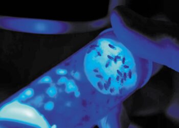 Biocentis: Εξασφάλισε χρηματοδότηση 19 εκατ. δολαρίων για να «επανεφεύρει» τον έλεγχο εντόμων με βιολογικές λύσεις