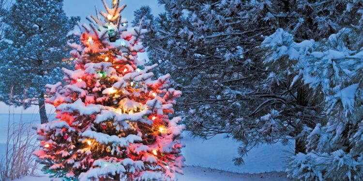 Χριστούγεννα στο χωριό: Ήθη, έθιμα και παραδόσεις των Χριστουγέννων στην ελληνική ύπαιθρο