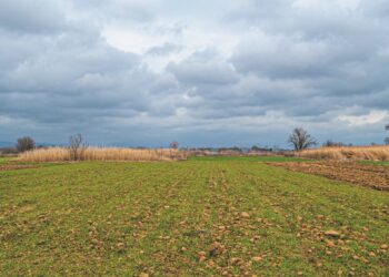 ΑΜΘ: Ψηφιακό αλαλούμ με τις διορθώσεις ΟΠΕΚΕΠΕ – Υπό καθεστώς σοκ οι παραγωγοί