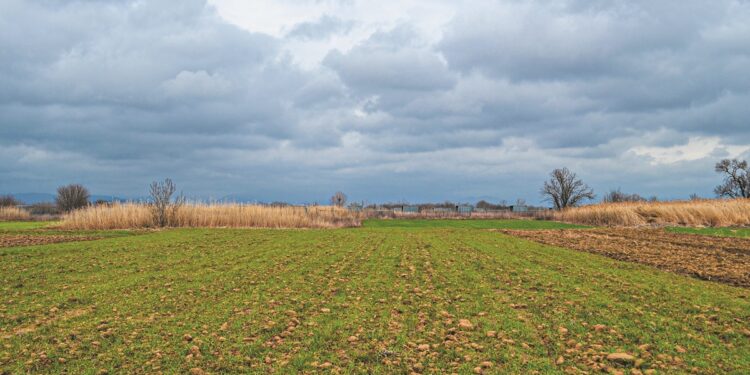 ΑΜΘ: Ψηφιακό αλαλούμ με τις διορθώσεις ΟΠΕΚΕΠΕ – Υπό καθεστώς σοκ οι παραγωγοί