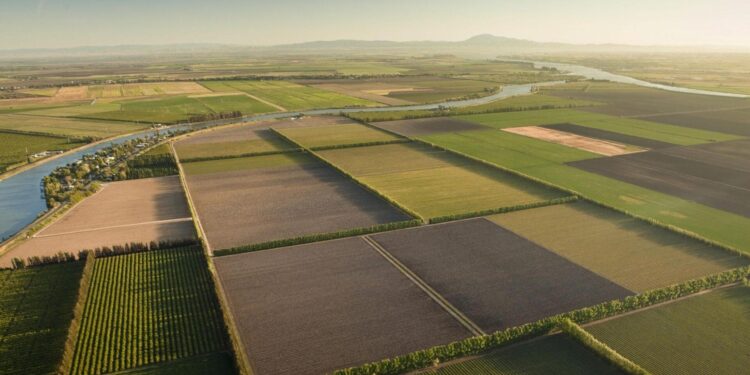 Διευκρινίσεις του ΟΠΕΚΕΠΕ για τη διαδικασία ενστάσεων σε ό,τι αφορά τα αγροτεμάχια χωρίς ΚΑΕΚ και για το Μέτρο 23