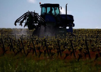 Αγρότες: Στα 3,8 δισ. ευρώ έως 31 Δεκεμβρίου 2025 οι πληρωμές μέσω ΟΠΕΚΕΠΕ, προϋπολογισμού και ΕΛΓΑ