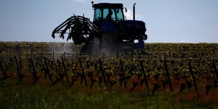 Αγρότες: Στα 3,8 δισ. ευρώ έως 31 Δεκεμβρίου 2025 οι πληρωμές μέσω ΟΠΕΚΕΠΕ, προϋπολογισμού και ΕΛΓΑ