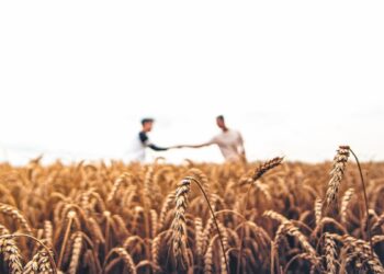 EU Cap Network: Όταν η γνώση περνά από αγρότη σε αγρότη