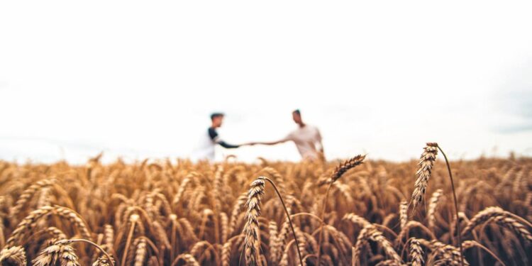 EU Cap Network: Όταν η γνώση περνά από αγρότη σε αγρότη