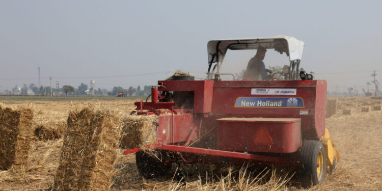 ΟΠΕΚΕΠΕ: Νέες πληρωμές 28,78 εκατ. ευρώ σε 15.309 αγρότες