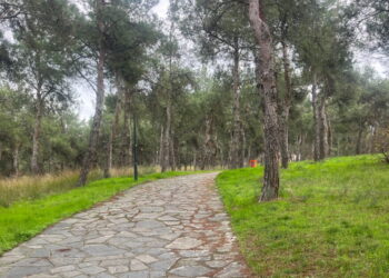 Συναγερμός για τους «τιμωρούς των παιδόφιλων» στη Θεσσαλονίκη – Οι τρεις ενέδρες και οι ξυλοδαρμοί