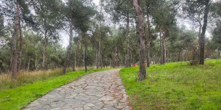 Συναγερμός για τους «τιμωρούς των παιδόφιλων» στη Θεσσαλονίκη – Οι τρεις ενέδρες και οι ξυλοδαρμοί