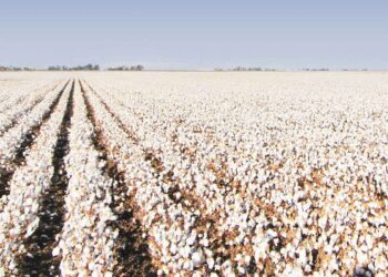 ΥΠΑΑΤ: 96 εκατ. ευρώ για μείωση αποτυπώματος άνθρακα σε αρόσιμες καλλιέργειες