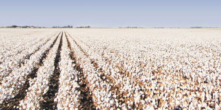 ΥΠΑΑΤ: 96 εκατ. ευρώ για μείωση αποτυπώματος άνθρακα σε αρόσιμες καλλιέργειες