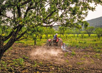 Έφτασε η ώρα του Μέτρου 23, ακολουθεί η βιολογική κτηνοτροφία 2024 – Εξόφληση Βασικής πριν από τις γιορτές υπόσχεται ο Τσιάρας
