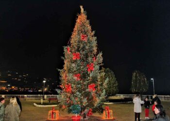 Η Αμφιλοχία φόρεσε τα γιορτινά της – Φωταγωγήθηκε το χριστουγεννιάτικο δέντρο (φωτο)