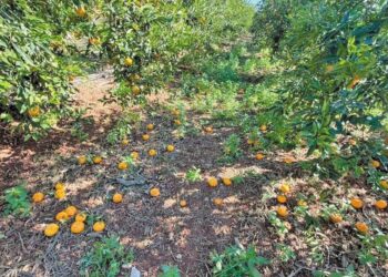 Αργολίδα: Αμέτρητες οι ζημιές από τις βροχοπτώσεις στον Δήμο Ναυπλιέων