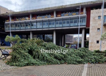 Θεσσαλονίκη: «Γκρεμίστηκε» το χριστουγεννιάτικο δέντρο μπροστά στο δημαρχείο λόγω ισχυρών ανέμων από την κακοκαιρία Byron