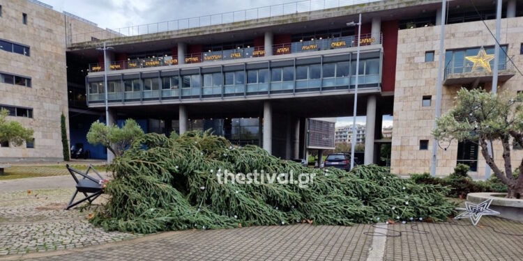 Θεσσαλονίκη: «Γκρεμίστηκε» το χριστουγεννιάτικο δέντρο μπροστά στο δημαρχείο λόγω ισχυρών ανέμων από την κακοκαιρία Byron