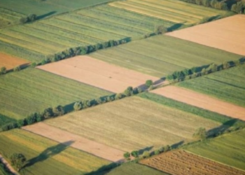 Κτηματολόγιο: Πρωτοβουλία ΥΠΑΑΤ για αποκατάσταση αδικιών σε βάρος γεωργών λόγω εκκρεμοτήτων