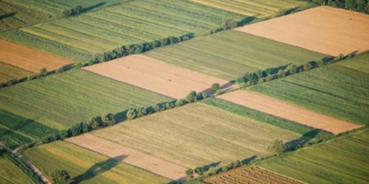 Κτηματολόγιο: Πρωτοβουλία ΥΠΑΑΤ για αποκατάσταση αδικιών σε βάρος γεωργών λόγω εκκρεμοτήτων