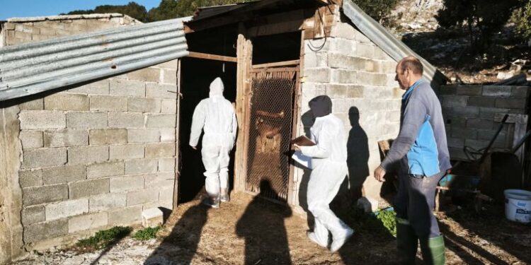 Έκτακτοι έλεγχοι ΟΠΕΚΕΠΕ – «Φύλλο και φτερό» οκτώ κτηνοτροφικές μονάδες