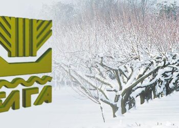 ΕΛΓΑ: Την Τετάρτη αναμένεται η προκαταβολή των αποζημιώσεων για τους εαρινούς παγετούς του 2025