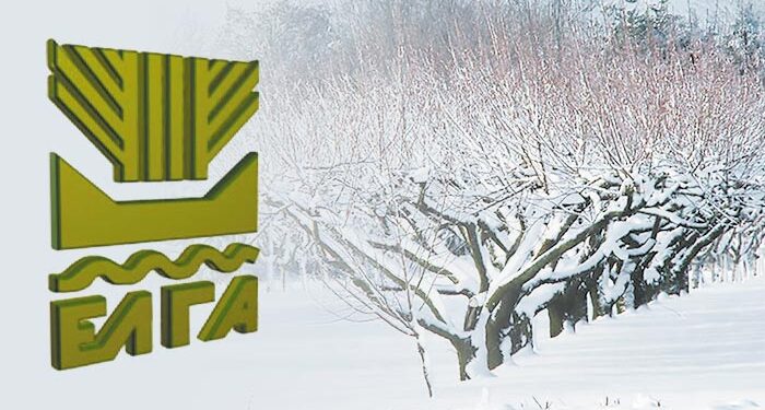 ΕΛΓΑ: Την Τετάρτη αναμένεται η προκαταβολή των αποζημιώσεων για τους εαρινούς παγετούς του 2025